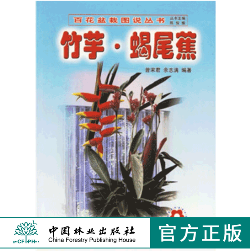 花花竹芋 新人首单立减十元 21年7月 淘宝海外