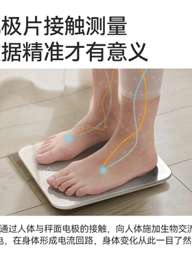 体重体脂秤减肥专用智能精准称重