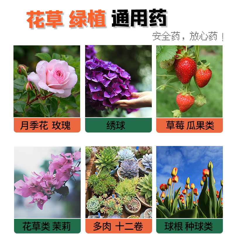 GG/国光 50%多菌灵稻瘟病、纹枯病、菌核病杀菌剂 - 图1