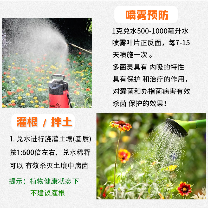 GG/国光 50%多菌灵稻瘟病、纹枯病、菌核病杀菌剂 - 图2