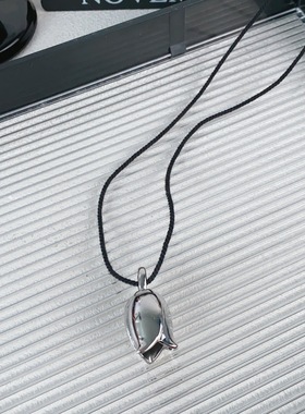 秋冬搭配打底衫的项链衣服配饰卫衣毛衣链轻奢高级感大气高档百搭