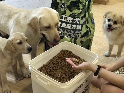 工作犬迷彩三十斤强壮骨增加肌肉丁老师搜救颗粒粮中国动物营养品 - 图2