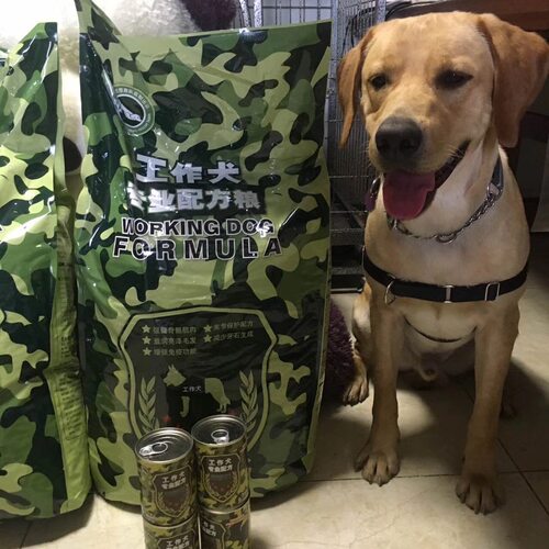 工作犬迷彩三十斤强壮骨增加肌肉丁老师搜救颗粒粮中国动物营养品 - 图0