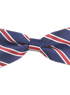 样板间衣帽间装饰品摆件男士领带红蓝灰蝴蝶结领结样板房男士衣柜