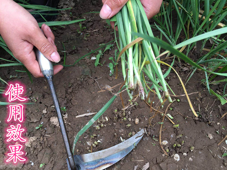 割韭菜专用刀全钢小号镰刀割刀子工具月牙除草家用挖野菜锄头神器