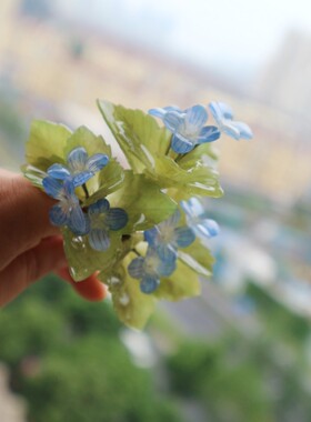阿拉伯婆婆纳胸针 手工精美小饰品