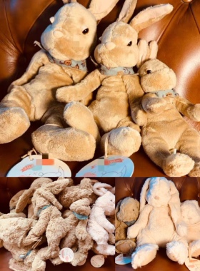 火爆新生安抚哄睡毛绒排名礼物