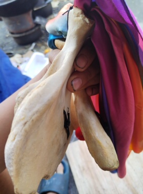 快板张品牌牛骨板数来宝伴奏乐器快板撒拉机哈巴拉醒目玉子板御子