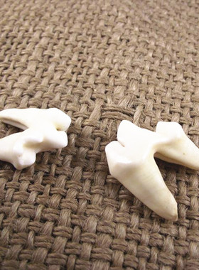 牙吊坠双根牙大牙 牙真牙项链骨质牙齿男女转运压惊漂白汪汪