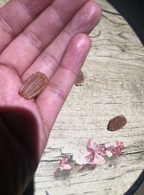 吊坠项链1岁小孩惊工原始骨