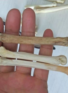 护身符情侣饰品吊坠项链25包邮