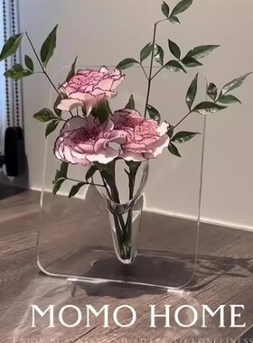 透明亚克力花瓶桌面插花器艺术家居北欧ins民宿酒店画相框摆件