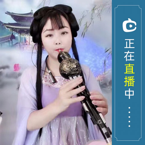 C调降B调专业演奏初学全黑檀木手工雕龙专业葫芦丝学生儿童 成人 - 图2