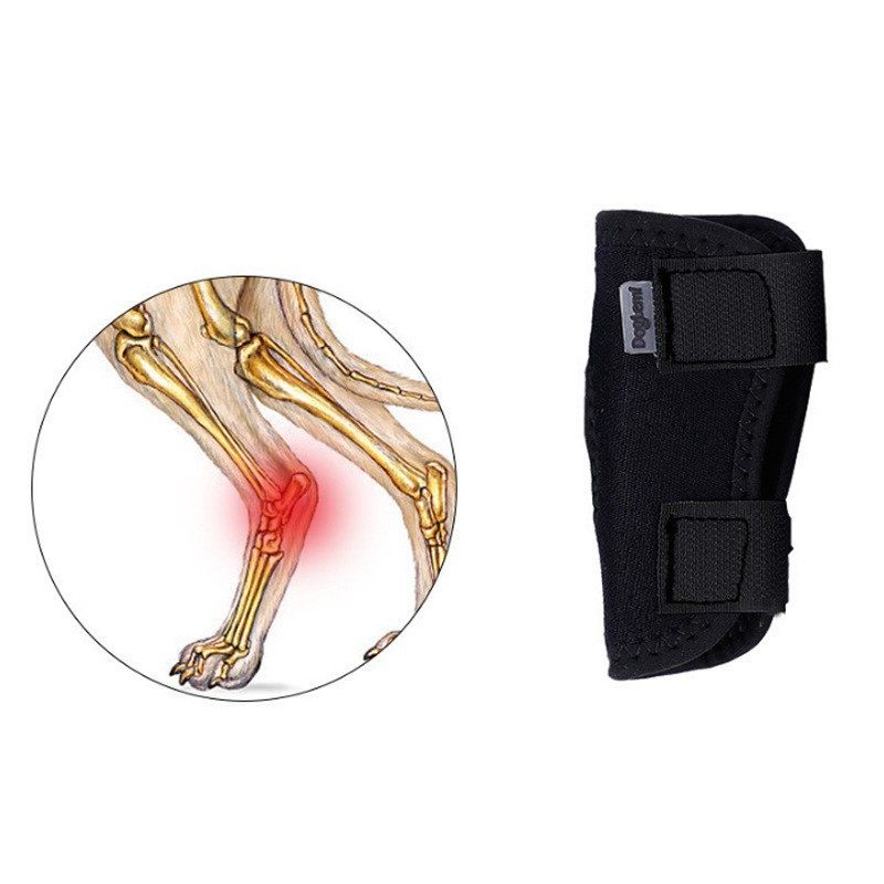 狗狗护膝关节保护套宠物髌骨带防脱臼骨折固定器法斗柯基柴犬腿套,淘宝优惠券,粉丝福利购,淘宝优惠卷