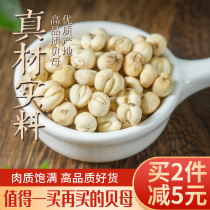 Fritillaria 100g Jilin Northeast Changbai Mountain fritillary woods Lower wild flat fritillary Non-Sichuan Bing powder