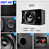 Xianke high-power professional home KTV card package speaker