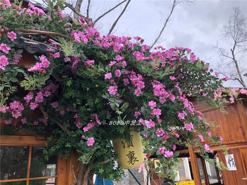 仿真茶枚玫瑰花藤蔷薇栀子吊花门头遮挡墙壁装饰假花藤条造景植物 - 图2