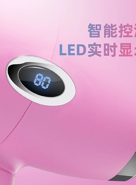 德昌温度显示大风力轻巧吹风机
