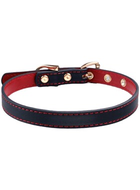 Aura Collar轻奢真皮choker项圈女颈带亚文化颈换脖圈牵引绳道具