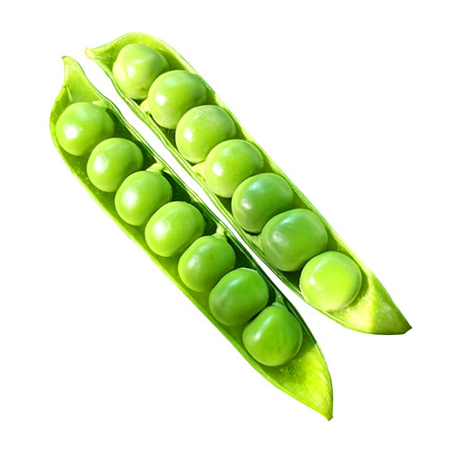 甜豌豆种子种籽甜脆豌豆苗种碗豌豆种甜豆四季豆长寿豆仁荚水果 - 图3