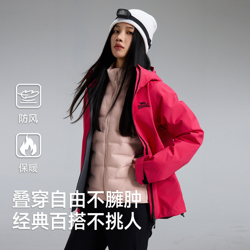 图 2