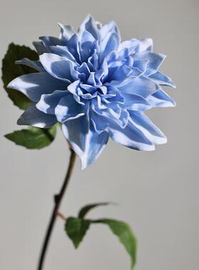 仿真花单支大丽花奶油白杏色