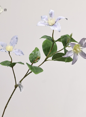 仿真花山谷铁线莲浅紫绿紫红家居装饰绢花设计师插花摄影道具摆件