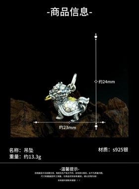 s925银神兽龙龟吊坠纯银精工个性挂件项坠配饰