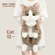 Hug Baby ແທ້ຈິງ Cute Simulation Cat Doll Plush Toy Doll ເດັກນ້ອຍນອນກັບຂອງຂວັນວັນເກີດ