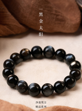 净莲梵尘殿堂级黑金太阳单圈手串