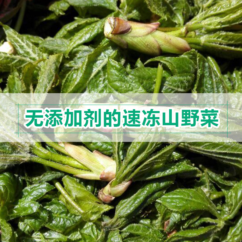 东北刺叶子汤,刺叶汤,刺叶(第8页)_大山谷图库