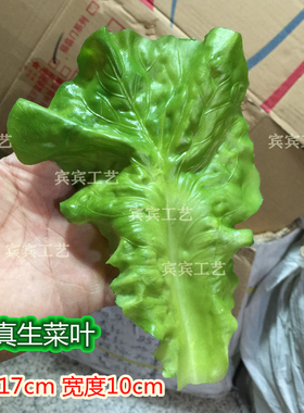 模型假生菜叶可水洗垫盘小号