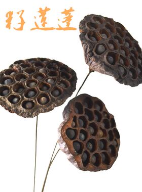 天然禅意家居摆设客厅组合装饰花