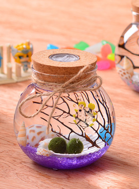 带灯海藻球玻璃花瓶 微景观生态瓶 软木塞带灯圆形玻璃密封罐