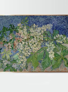 梵高花朵diy数字油画丙烯填充手工油彩涂色画支持喷绘打印成品画