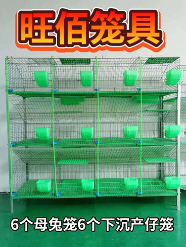 兔笼养殖笼 12位加粗加密热镀锌免清粪子母兔笼阶梯兔子笼子旺佰 - 图2
