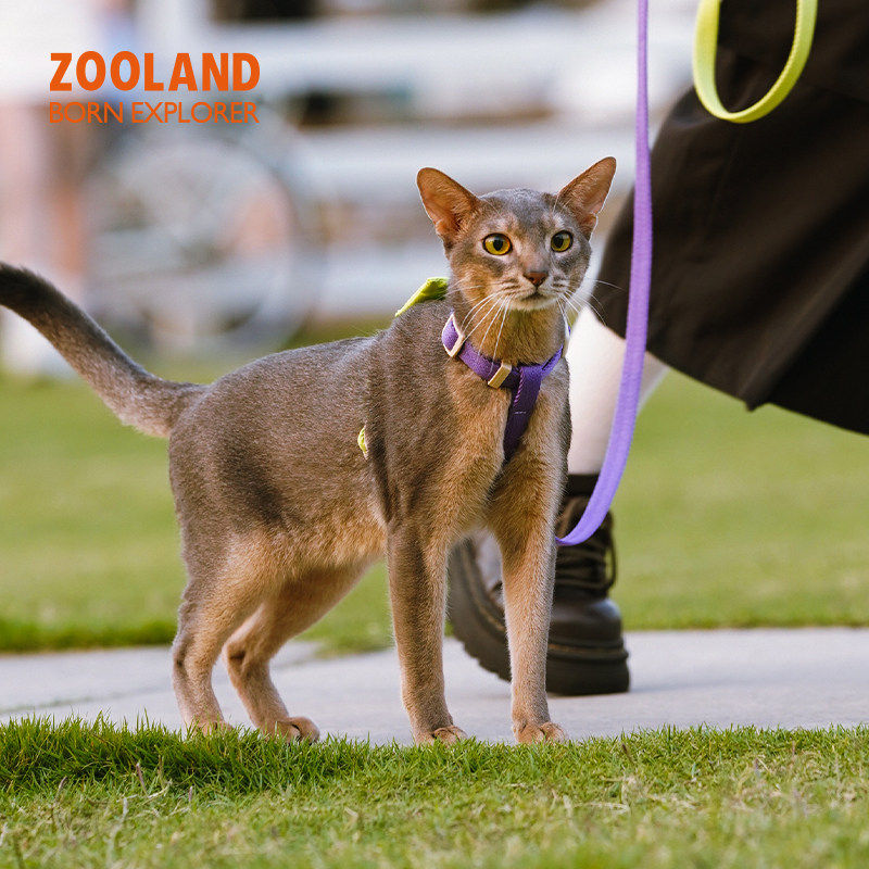 ZOOLAND猫牵引绳户外防挣脱背心式外出专用不勒脖工字型宠物胸背,淘宝优惠券,粉丝福利购,淘宝优惠卷