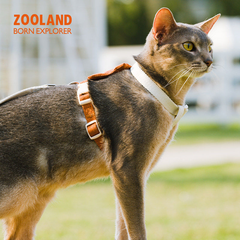 ZOOLAND猫牵引绳户外防挣脱背心式外出专用不勒脖工字型宠物胸背,淘宝优惠券,粉丝福利购,淘宝优惠卷