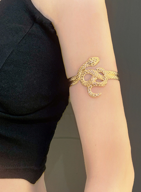 欧美金属镂空缠绕蛇形开口手镯女