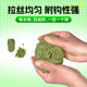Tianchiba water and wild fishing bait is suitable for all seasons