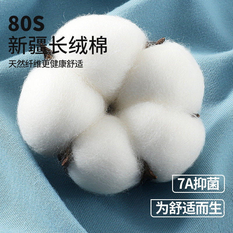 花花公子男士内裤男纯棉短裤男生青年全棉四角裤平角大码裤头新款,淘宝优惠券,粉丝福利购,淘宝优惠卷