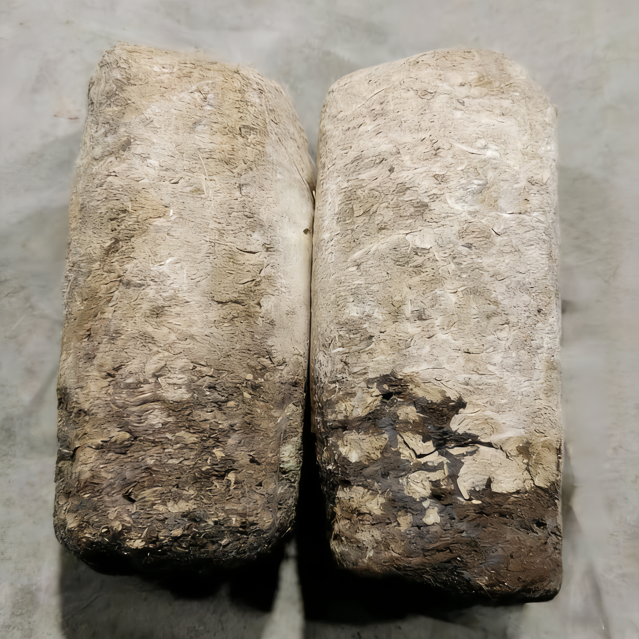 独角仙锹甲金龟兜虫幼虫催肥发酵木块争吃高营养饲料发酵木屑专用,淘宝优惠券,粉丝福利购,淘宝优惠卷