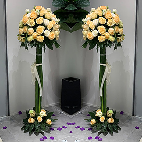 Phalaenopsis Table Flower Mall Opened Flower Basket Brand Flower Delivery Same City Shanghai Beijing Guangzhou Shenzhen