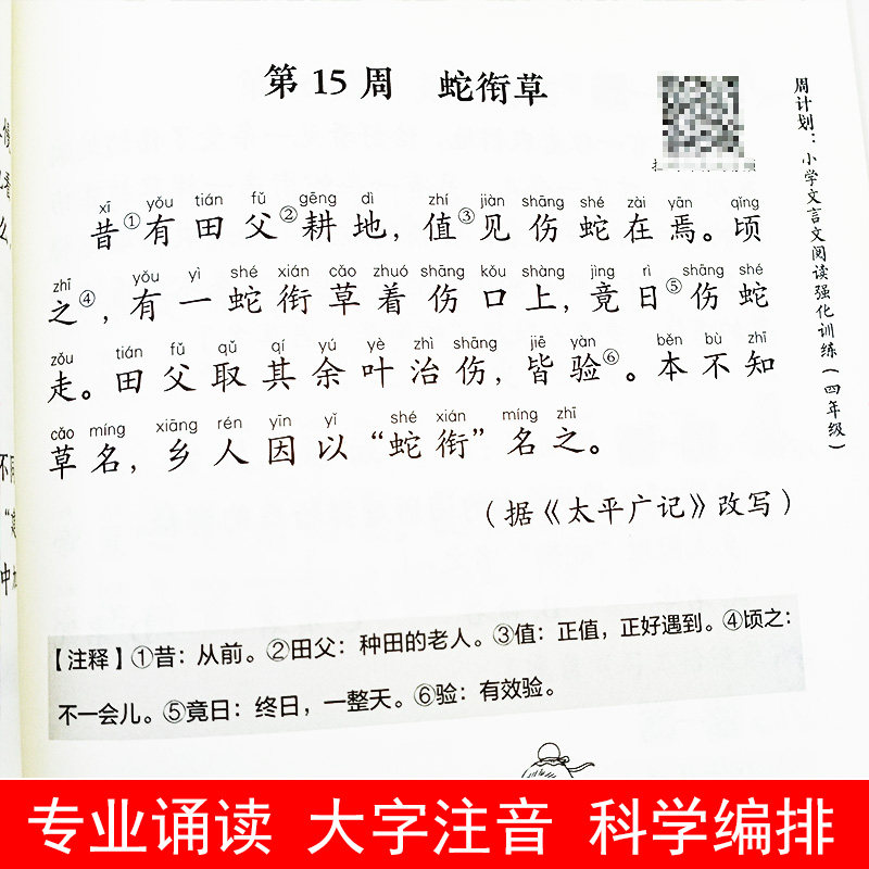 赠朗诵音频】周计划小学文言文阅读强化训练三四五六3456年级小学语文知识大全古诗词*背上下册同步训练习册全套小古文诵读解析