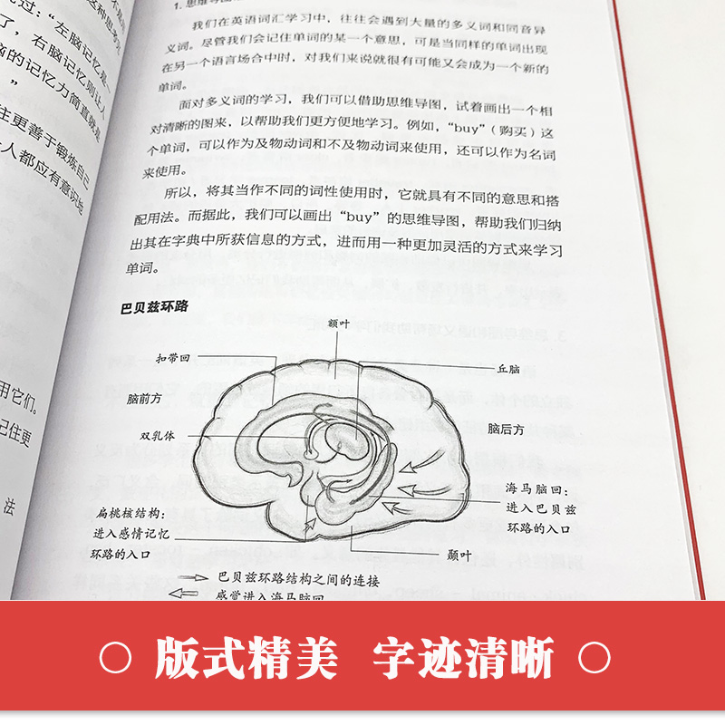 正版最强大脑超级记忆力提升宝典超级记忆术小学生儿童最强大脑快速记忆法书籍超级大脑书逻辑思维左脑右脑全脑开发脑力益智书籍-图2