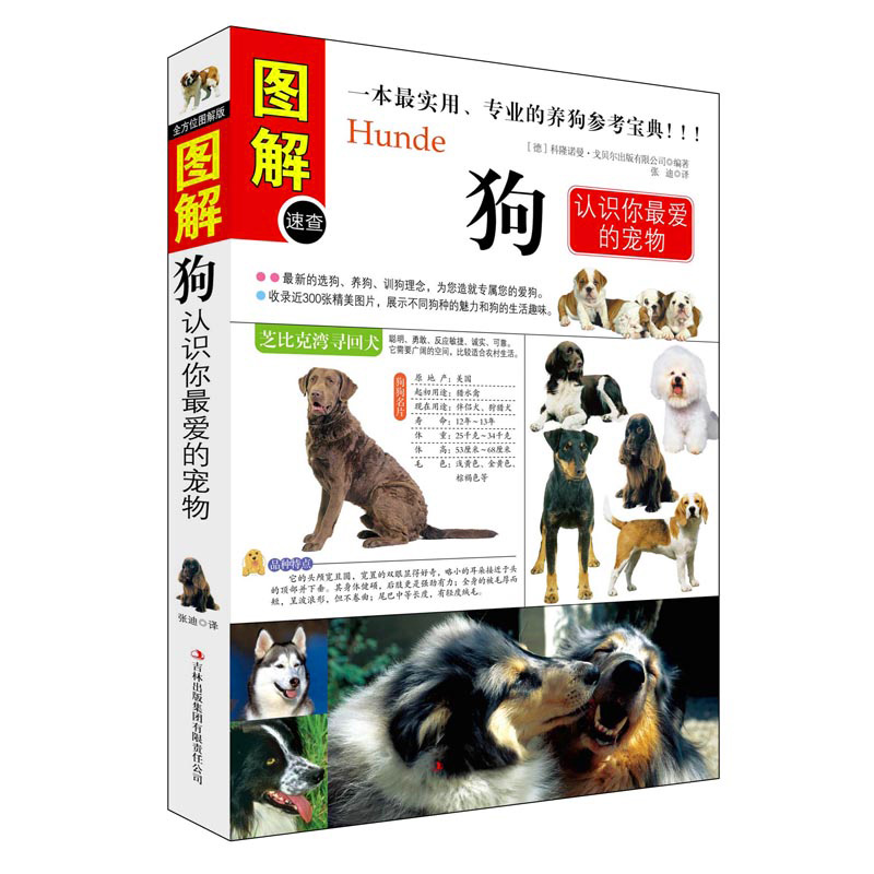 图解狗认识你最爱的宠物养狗书籍名犬宠物书籍狗品种大全关于狗狗的书训犬书籍宠物书狗书养狗知识狗狗大全狗书籍养狗手册训狗书