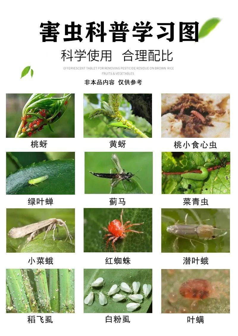 克胜神约吡蚜酮25%稻飞虱杀虫剂蔬菜蚜虫腻虫8克20克100克1000克 - 图2