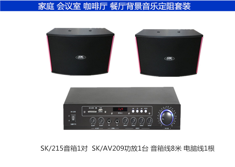 HY215卡包音箱 会议室 咖啡厅 6寸小卡包音箱 背景音乐定阻音箱 - 图1