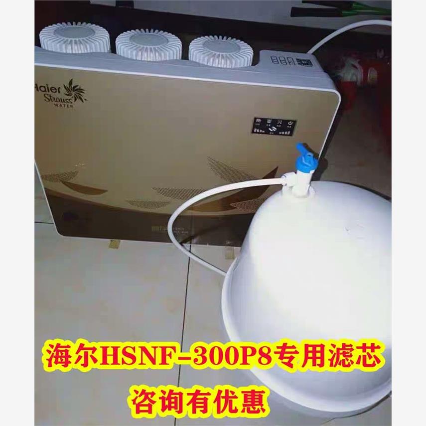 定做海尔净水器滤芯HSNF-300P8/P1/B1/M5/M1/HRO50-5K/B5海尔施特-图2