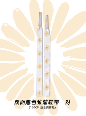 潮流高低帮1970s帆布小雏菊鞋带